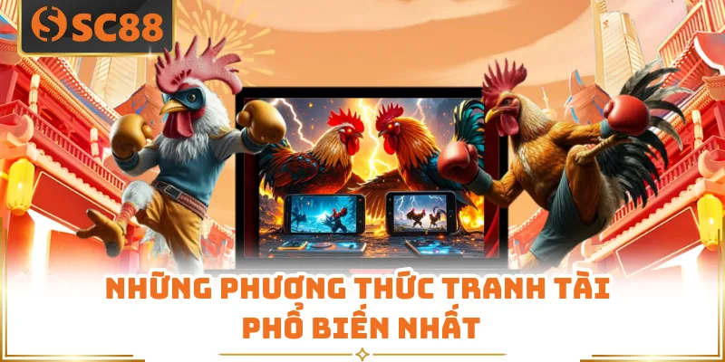 Đá Gà SC88 - Sảnh Cược Đẳng Cấp Thỏa Mãn Đam Mê Kê Thủ 5 Những phương thức tranh tài phổ biến nhất